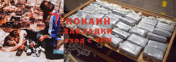 соль ск Богданович