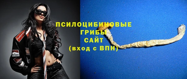 прущая мука Богородицк