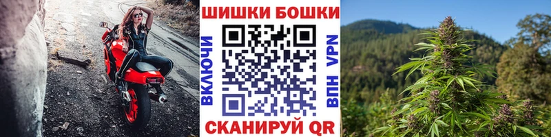 цена   Нижний Тагил  Бошки марихуана Ganja 